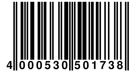 4 000530 501738