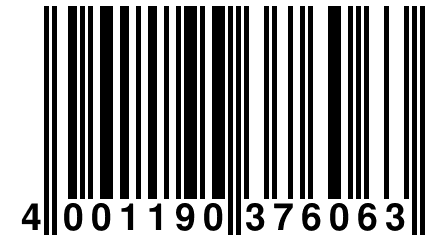 4 001190 376063