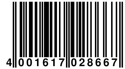 4 001617 028667