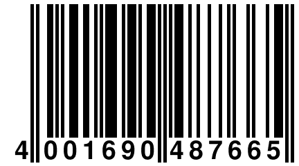 4 001690 487665