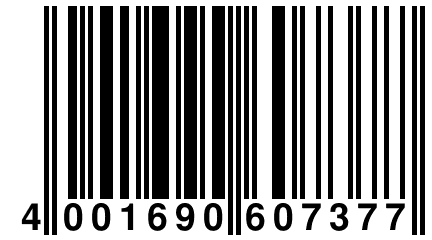 4 001690 607377