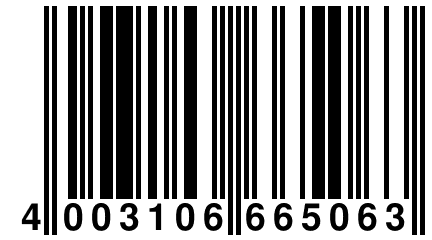 4 003106 665063