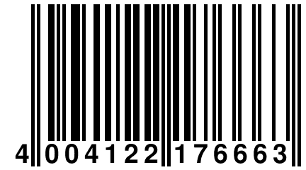 4 004122 176663