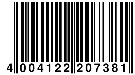 4 004122 207381