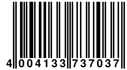 4 004133 737037