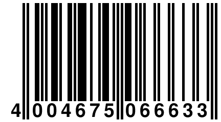 4 004675 066633