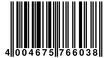 4 004675 766038