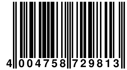 4 004758 729813