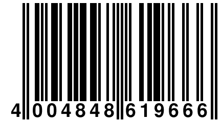 4 004848 619666