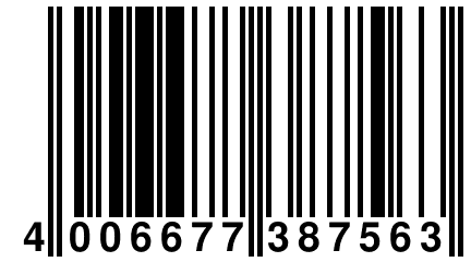 4 006677 387563