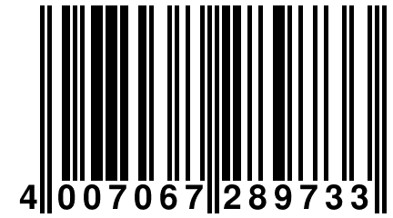 4 007067 289733