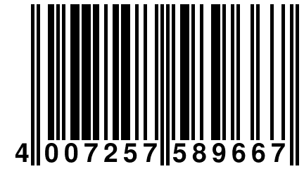 4 007257 589667