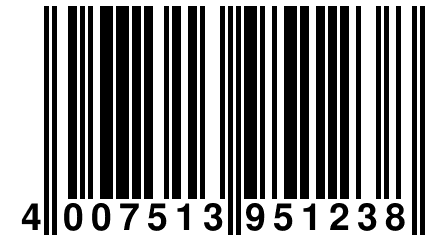 4 007513 951238