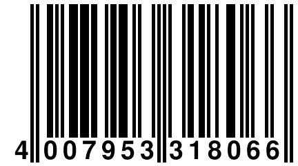 4 007953 318066