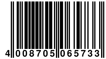 4 008705 065733