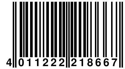 4 011222 218667