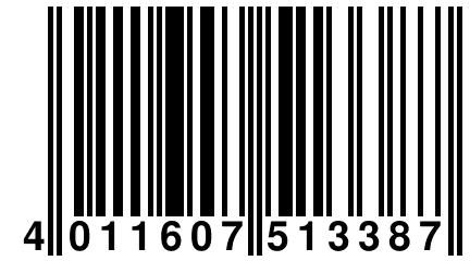 4 011607 513387