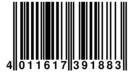 4 011617 391883