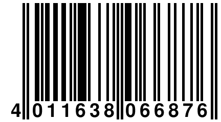 4 011638 066876