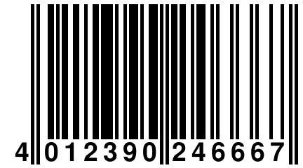 4 012390 246667