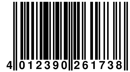 4 012390 261738