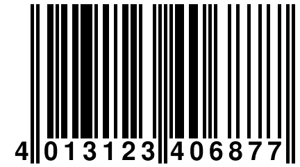 4 013123 406877