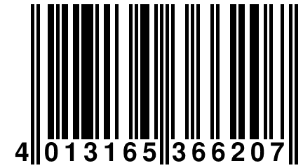 4 013165 366207