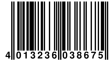 4 013236 038675