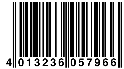 4 013236 057966