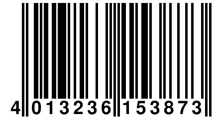 4 013236 153873