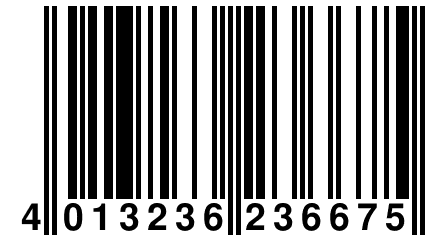 4 013236 236675