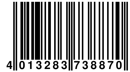 4 013283 738870