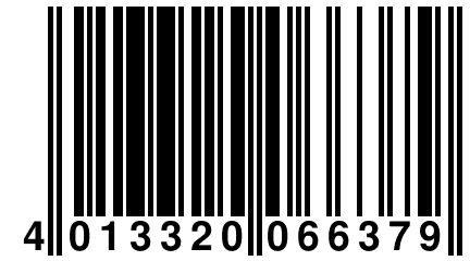 4 013320 066379