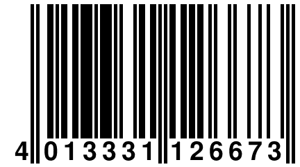 4 013331 126673