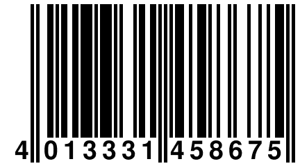 4 013331 458675