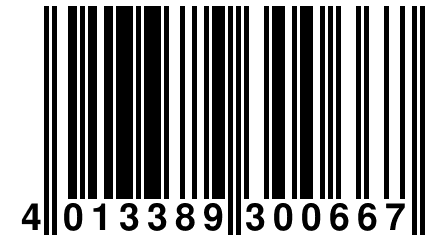 4 013389 300667