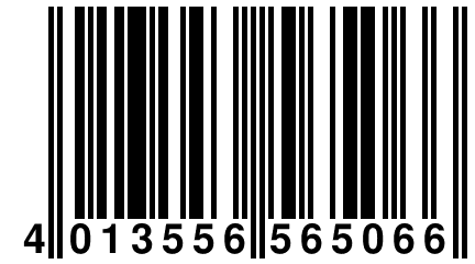 4 013556 565066