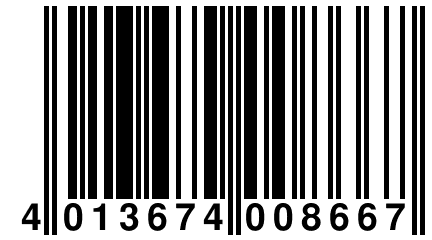 4 013674 008667