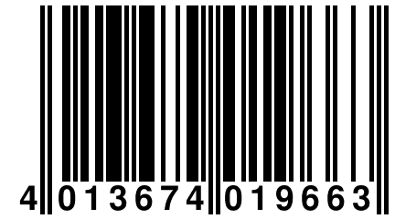 4 013674 019663