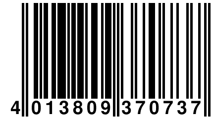 4 013809 370737