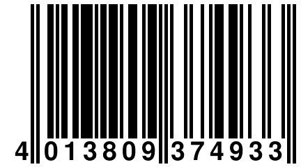 4 013809 374933