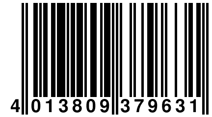 4 013809 379631