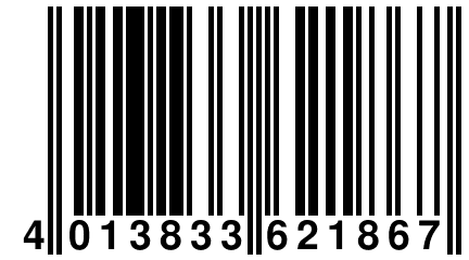4 013833 621867