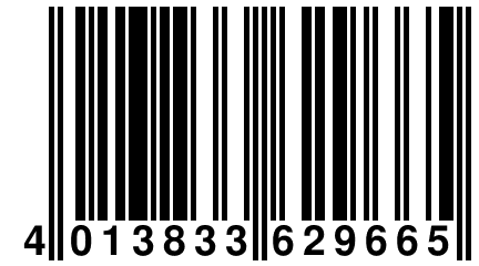 4 013833 629665