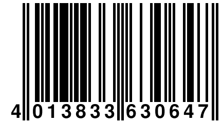 4 013833 630647