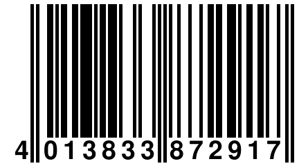 4 013833 872917