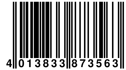 4 013833 873563