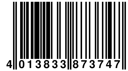 4 013833 873747