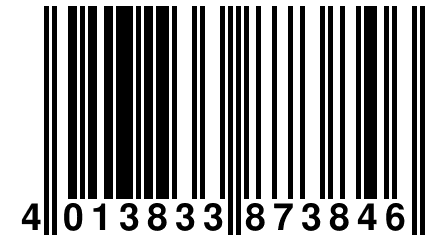 4 013833 873846