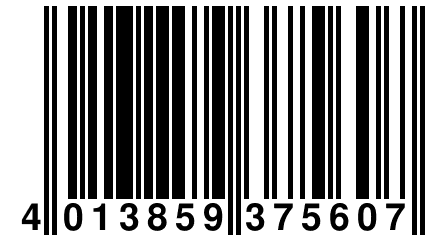 4 013859 375607